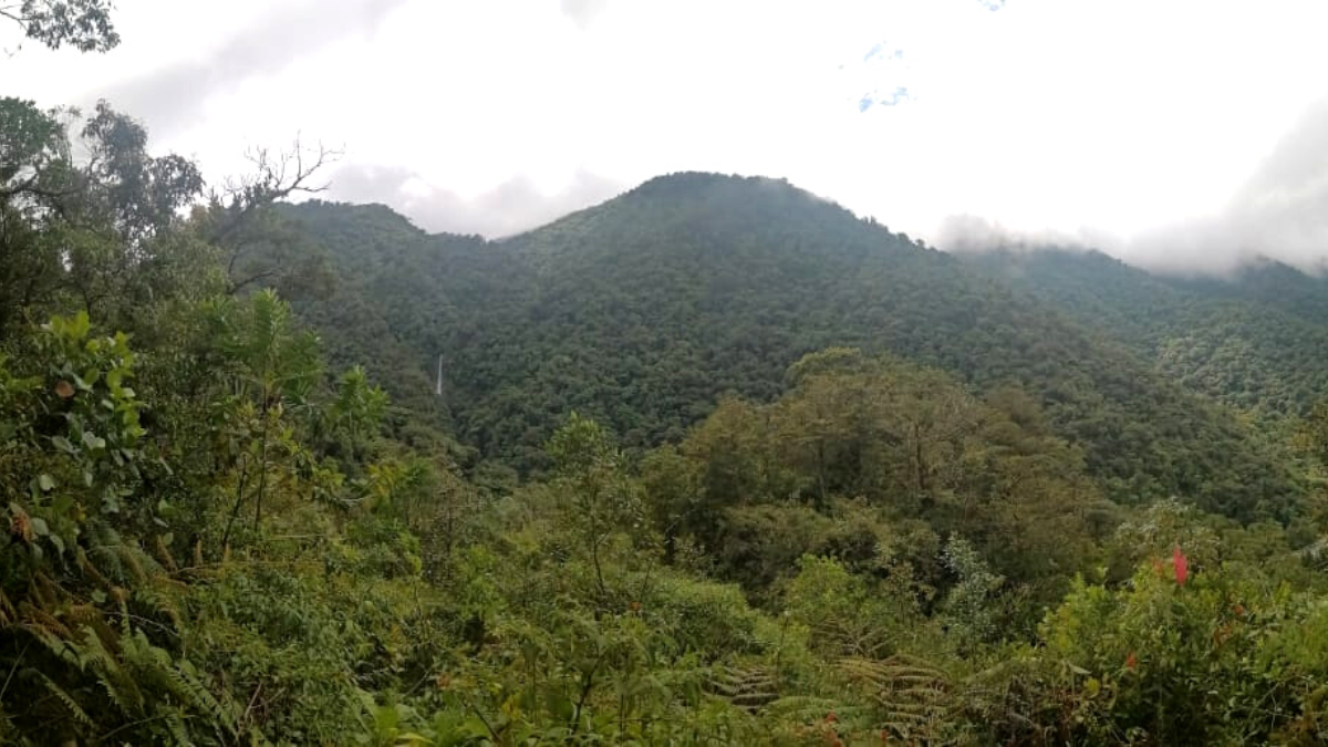 Parque Nacional Tapantí 