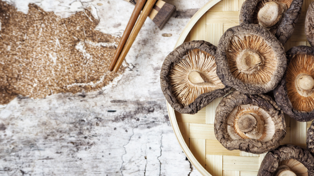 Hongo Lentinus edodes (shiitake)