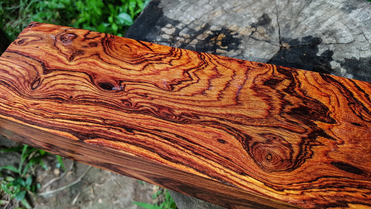 cocobolo madera