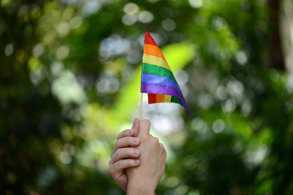 Marcha del orgullo LGBTIQ+