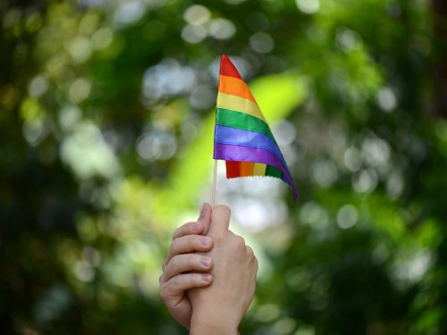 Marcha del orgullo LGBTIQ+