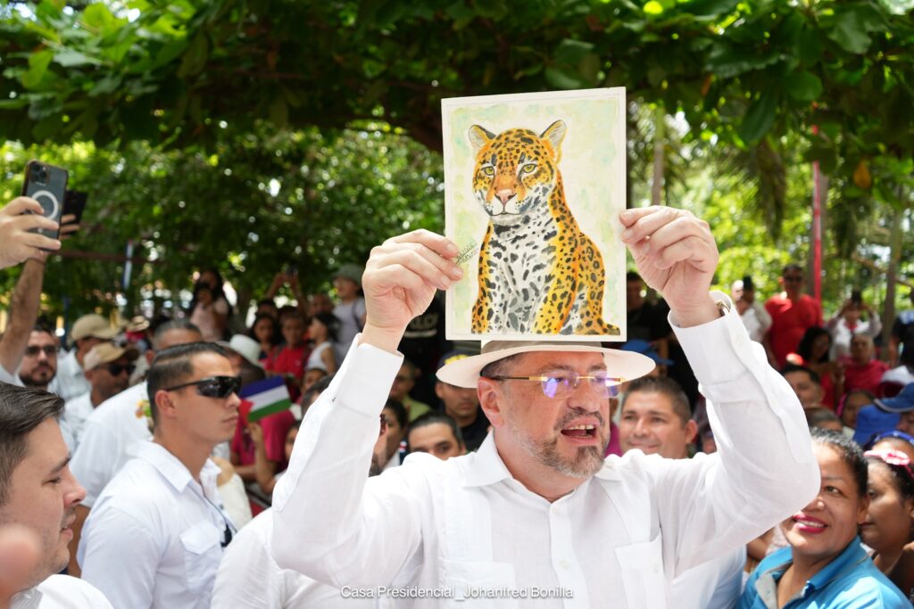 Beligerancia política