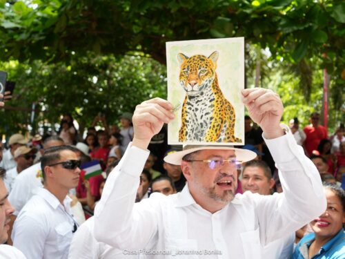 Beligerancia política