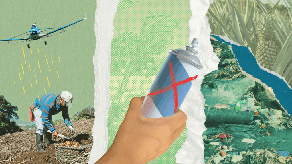 Portada Plaguicidas 1