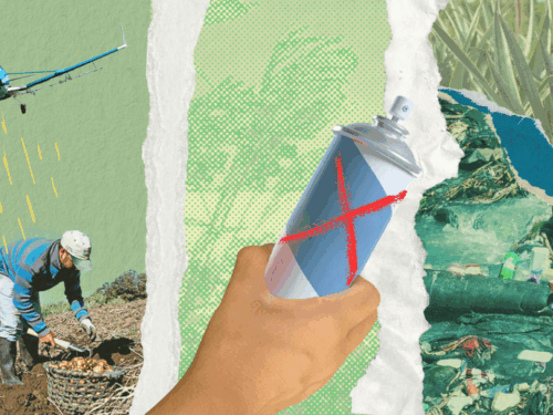 Portada Plaguicidas 1